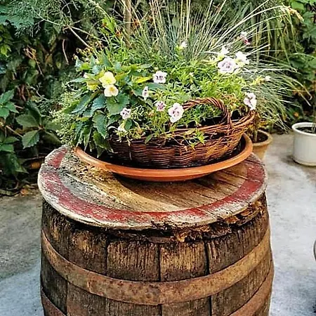 Palma Frühstückspension Medulin