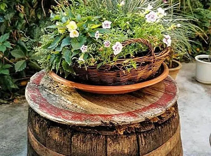 Bed & Breakfast Palma B&B 메덜린